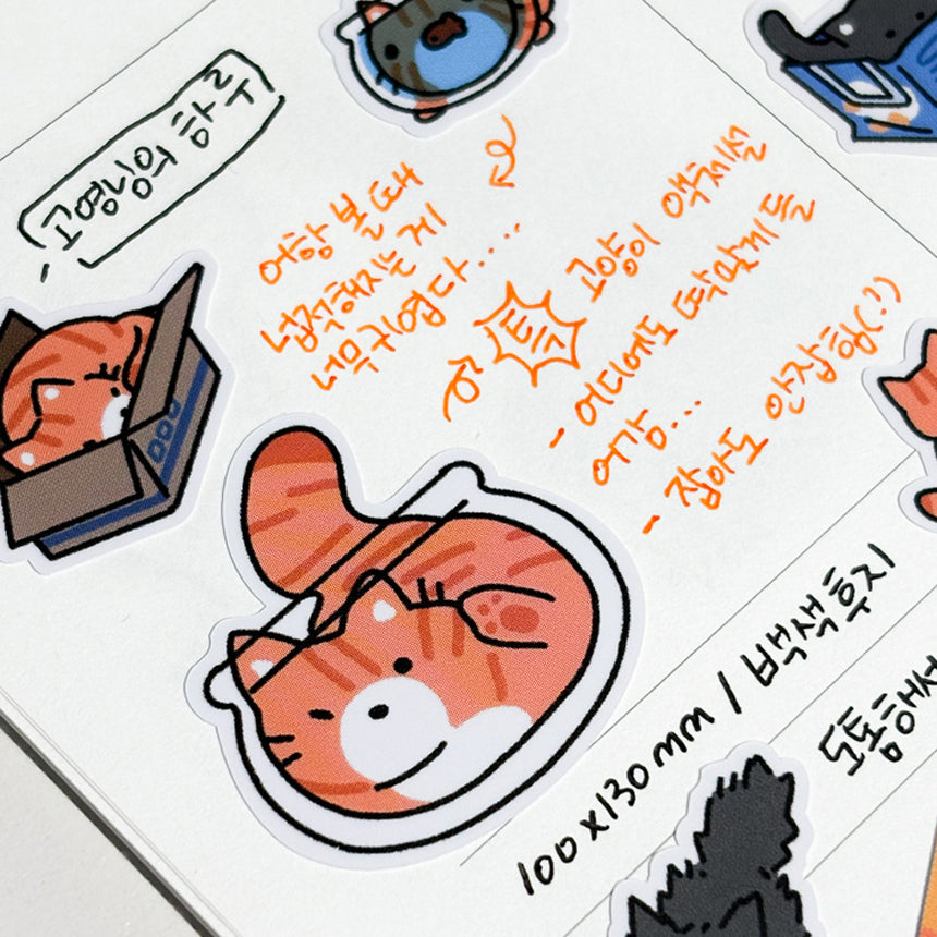 Cat's Day Sticker