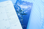 Sea of Light Postcard Set (4 Designs)