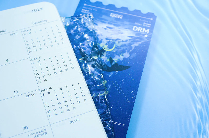 Sea of Light Postcard Set (4 Designs)