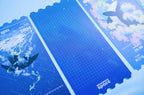 Sea of Light Postcard Set (4 Designs)